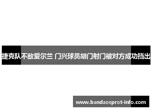 捷克队不敌爱尔兰 门兴球员胡门射门被对方成功挡出