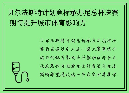 贝尔法斯特计划竞标承办足总杯决赛 期待提升城市体育影响力