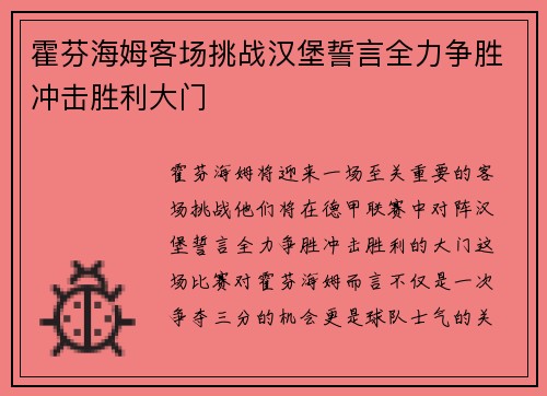 霍芬海姆客场挑战汉堡誓言全力争胜冲击胜利大门