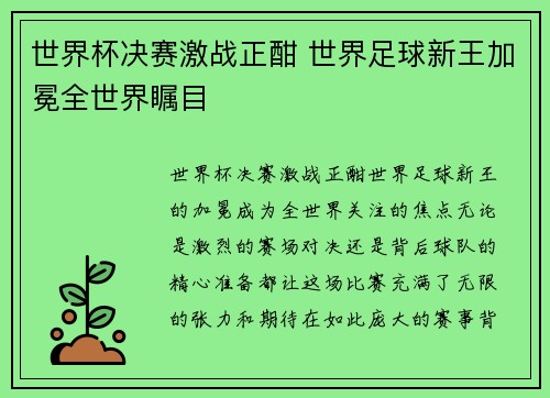 世界杯决赛激战正酣 世界足球新王加冕全世界瞩目